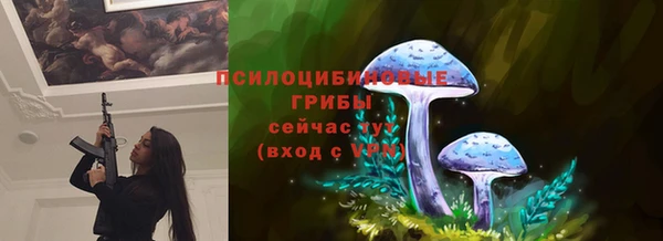 стаф Нязепетровск