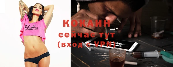 гашик Нягань