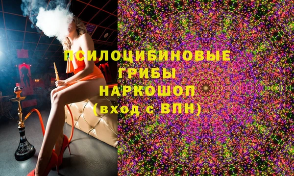 гашик Нягань