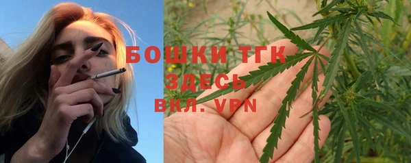 гашик Нягань