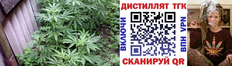 KRAKEN рабочий сайт  Покров  ТГК вейп 